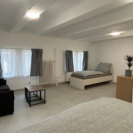 Apartmany Plzen Rolnicke Namesti 8 Extérieur photo
