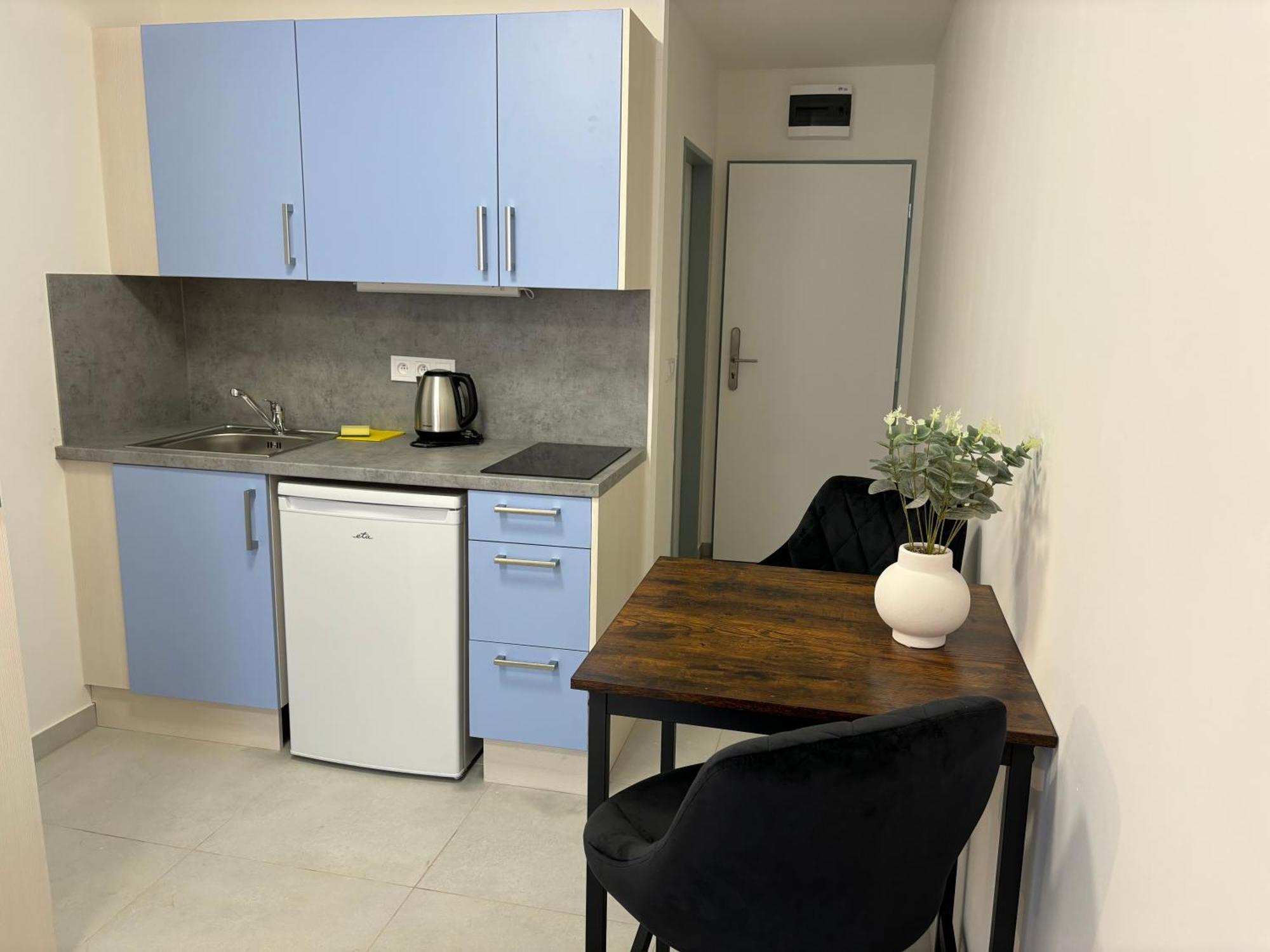 Apartmany Plzen Rolnicke Namesti 8 Extérieur photo
